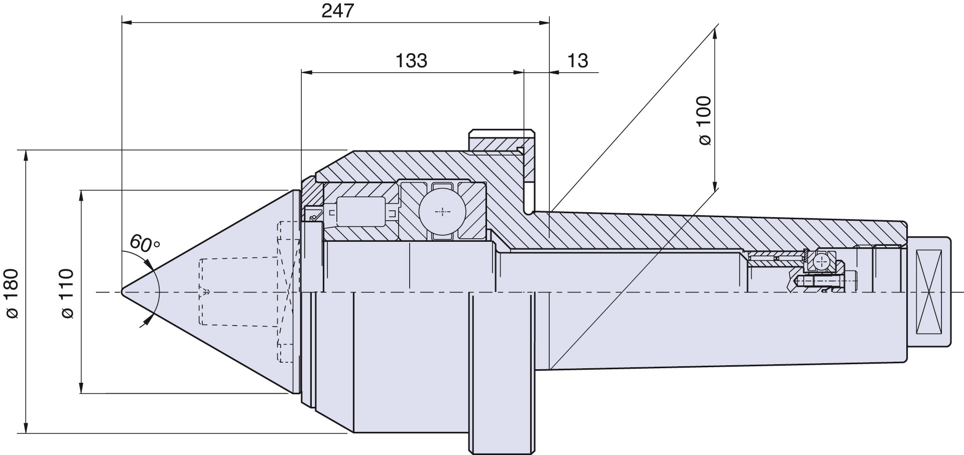 Live center type <strong>CSF/CM100</strong> for taper 100